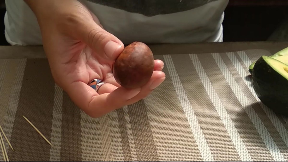 Suvalgykite pusryčiams, o kauliuką įdėkite į vazoną su orchidėja. Orchidėja nebežydės, o jos šaknys nepus. Tręšimo būdas tinginiams